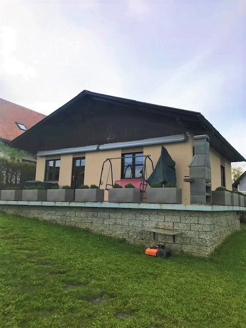 IMG 0103